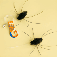 Siimalliset onkilelun vaihtopäät jotka muistuttaa hämähäkkiä